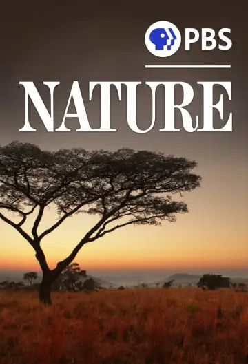Plakat к сериалу "Natura" #1293988