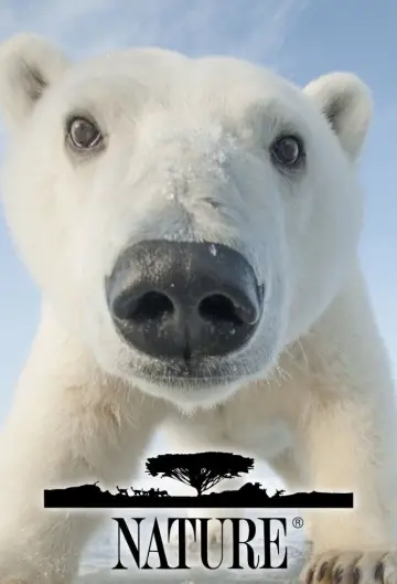 Plakat к сериалу "Natura" #1293994