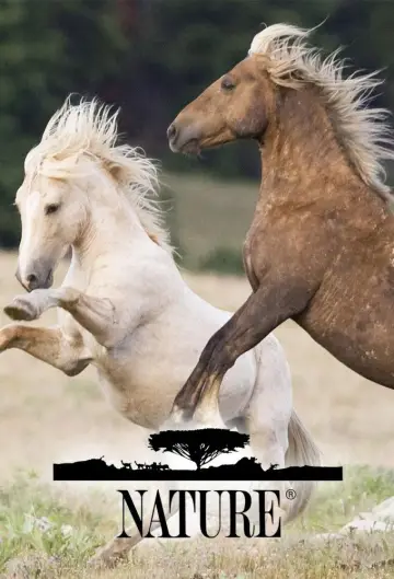 Plakat к сериалу "Natura" #1293999