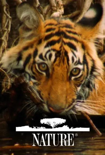 Plakat к сериалу "Natura" #1294000