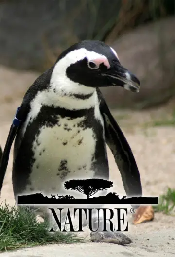 Plakat к сериалу "Natura" #1294001