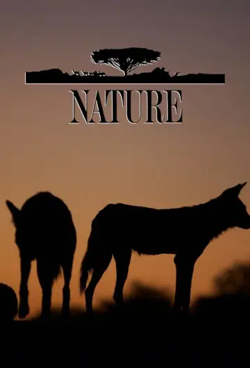 Plakat к сериалу "Natura" #1294004