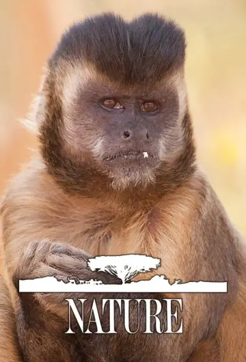 Plakat к сериалу "Natura" #1294006