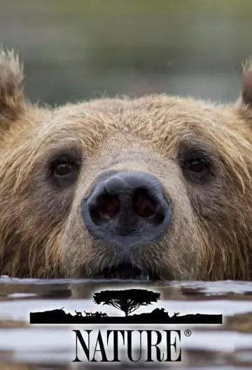 Plakat к сериалу "Natura" #1294007