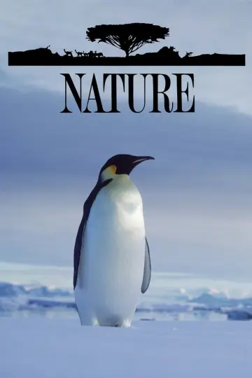 Plakat к сериалу "Natura" #1294009