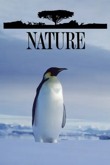 Plakat к сериалу "Natura" #1294012