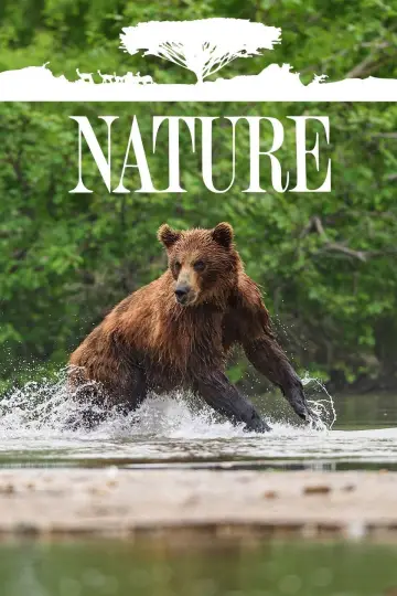 Plakat к сериалу "Natura" #1294015