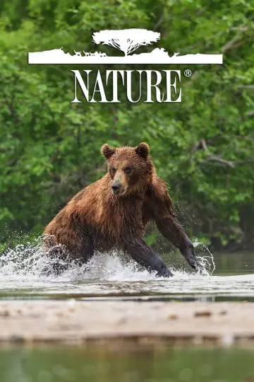 Plakat к сериалу "Natura" #1294016