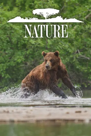 Plakat к сериалу "Natura" #1294017