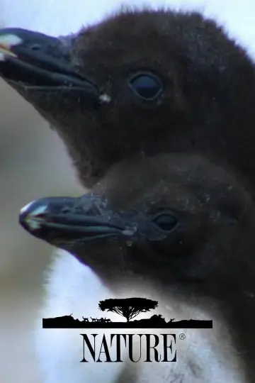 Plakat к сериалу "Natura" #1294020