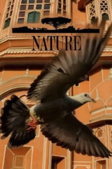 Plakat к сериалу "Natura" #1294022