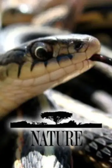 Plakat к сериалу "Natura" #1294024