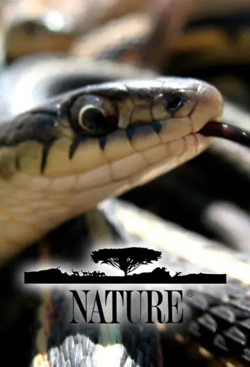Plakat к сериалу "Natura" #1294028