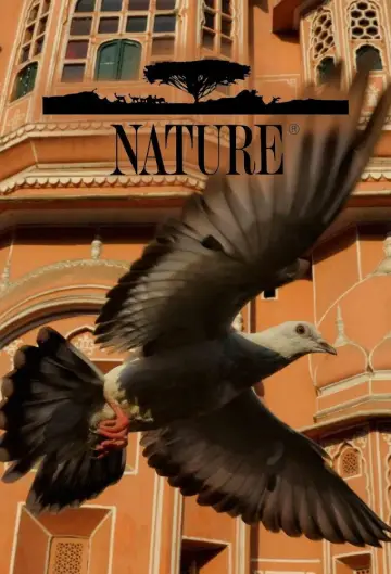 Plakat к сериалу "Natura" #1294029