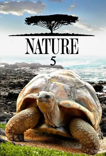 Sezon 5