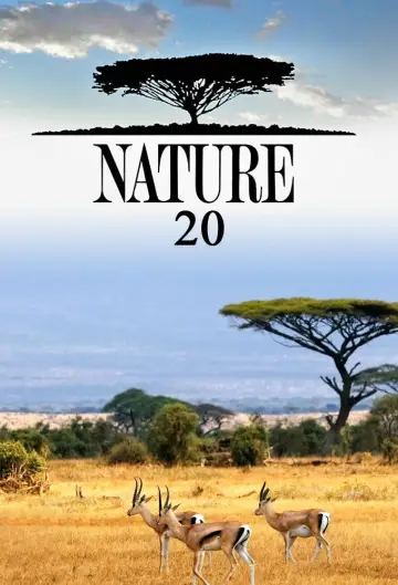 Sezon 20