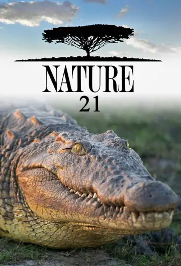 Sezon 21