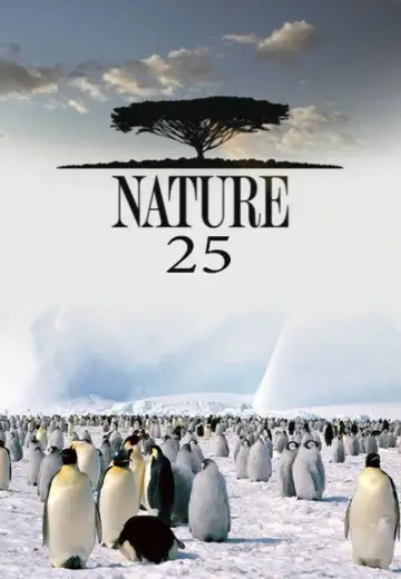 Sezon 25