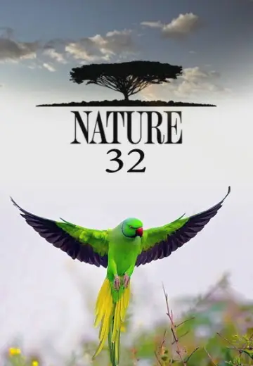 Sezon 32