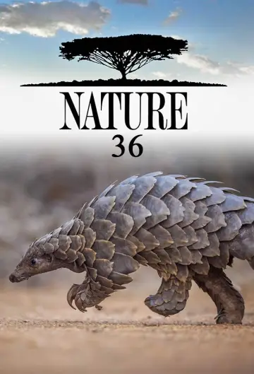 Sezon 36