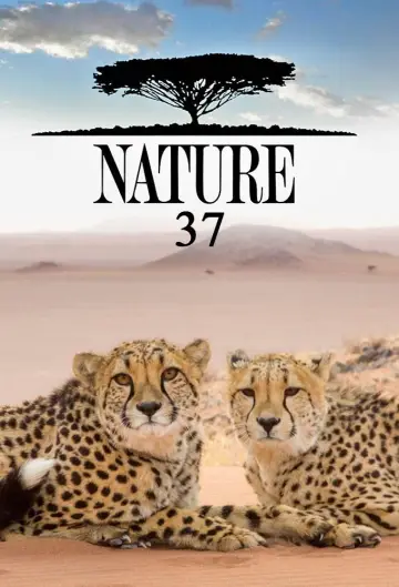 Sezon 37