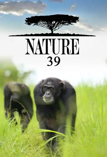 Sezon 39