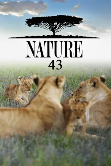 Sezon 43
