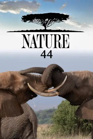Sezon 44
