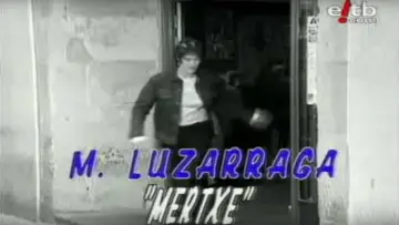 Zasłona do serialu "Goenkale" #1401070