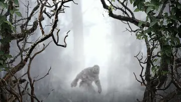 Zasłona к сериалу "MonsterQuest" #1491879