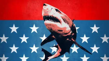 Zasłona к сериалу "Shark Week" #1362264