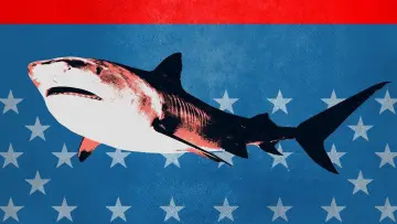 Zasłona к сериалу "Shark Week" #1362265