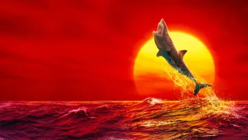 Zasłona к сериалу "Shark Week" #1362267