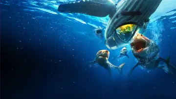 Zasłona к сериалу "Shark Week" #1362268