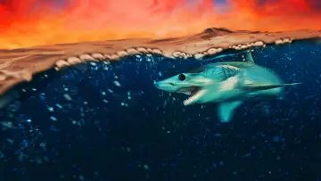 Zasłona к сериалу "Shark Week" #1362271