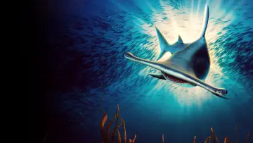 Zasłona к сериалу "Shark Week" #1362272