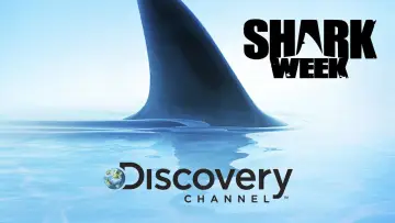 Zasłona к сериалу "Shark Week" #1362274