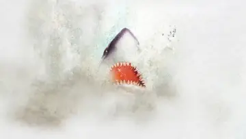 Zasłona к сериалу "Shark Week" #1362277