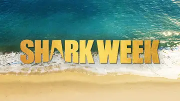 Zasłona к сериалу "Shark Week" #1362282