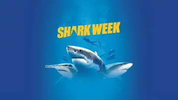 Zasłona к сериалу "Shark Week" #1362284