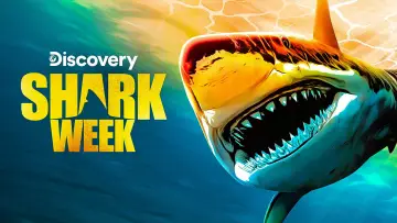 Zasłona к сериалу "Shark Week" #1362286