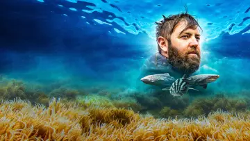 Zasłona к сериалу "Shark Week" #1362287