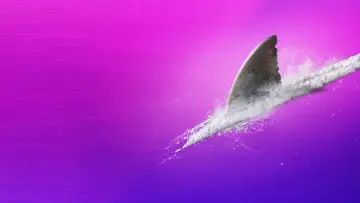 Zasłona к сериалу "Shark Week" #1362288