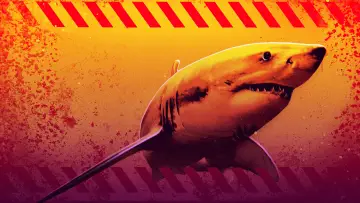 Zasłona к сериалу "Shark Week" #1362290