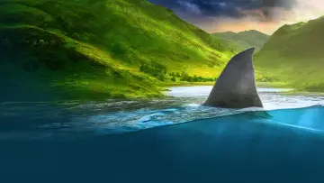 Zasłona к сериалу "Shark Week" #1362292