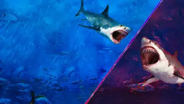 Zasłona к сериалу "Shark Week" #1362293