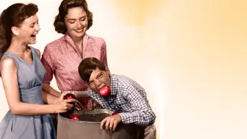 Zasłona к сериалу "The Donna Reed Show" #1275898