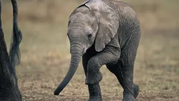 Zasłona к сериалу "Życie" #1455283