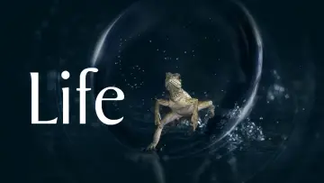 Zasłona к сериалу "Życie" #1455284
