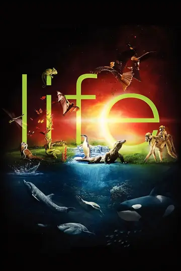 Plakat к сериалу "Życie" #1455290